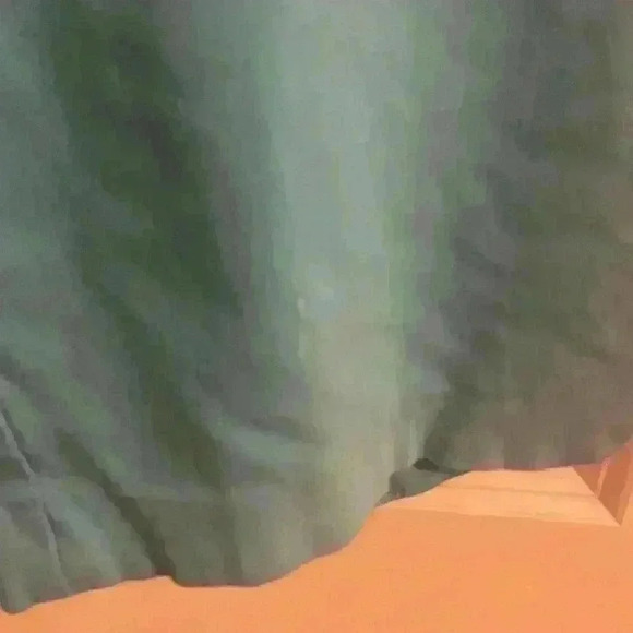 Peck & Peck Petite Bermuda Shorts. Size 12P - Picture 5 of 7